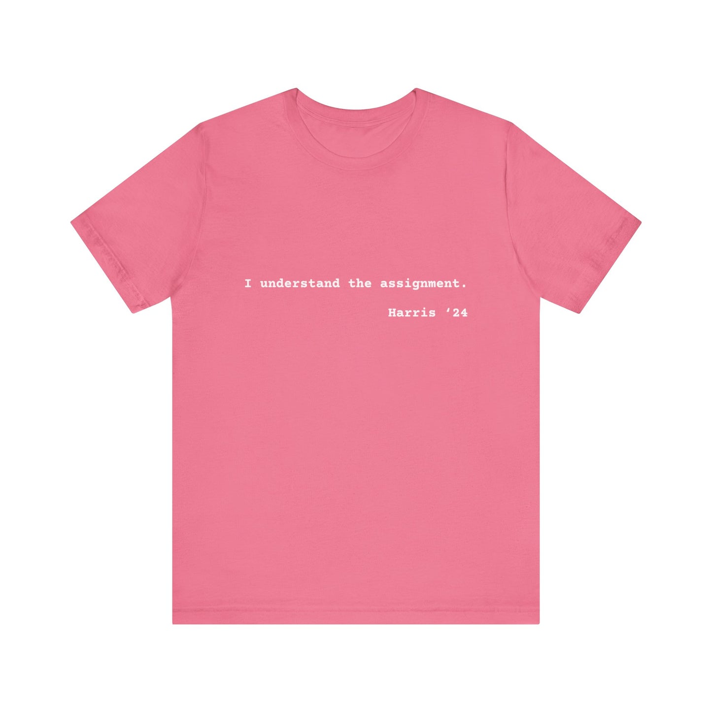 I Understand The Assignment Tee- White Font