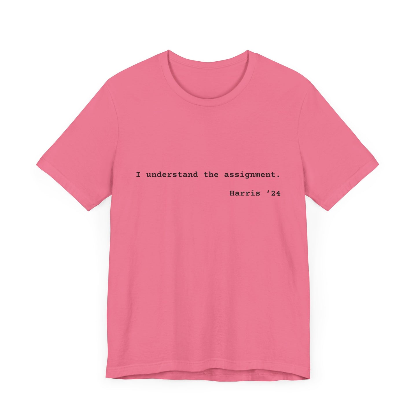 I Understand The Assignment Tee