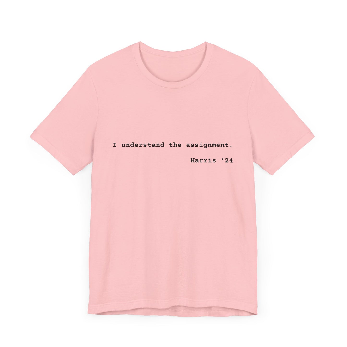 I Understand The Assignment Tee