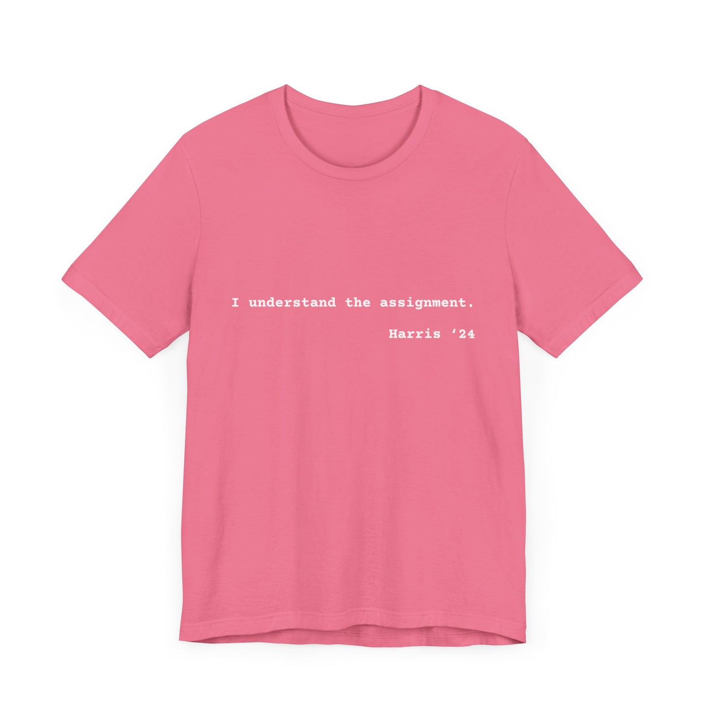 I Understand The Assignment Tee- White Font
