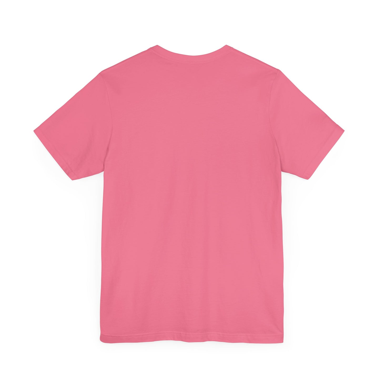 I Understand The Assignment Tee