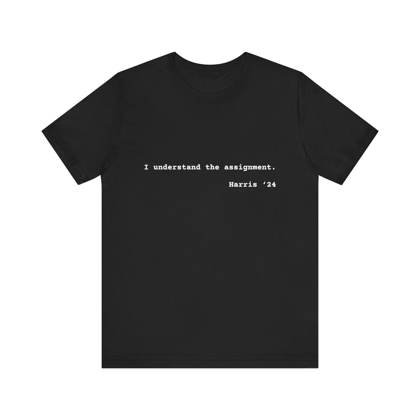 I Understand The Assignment Tee- White Font