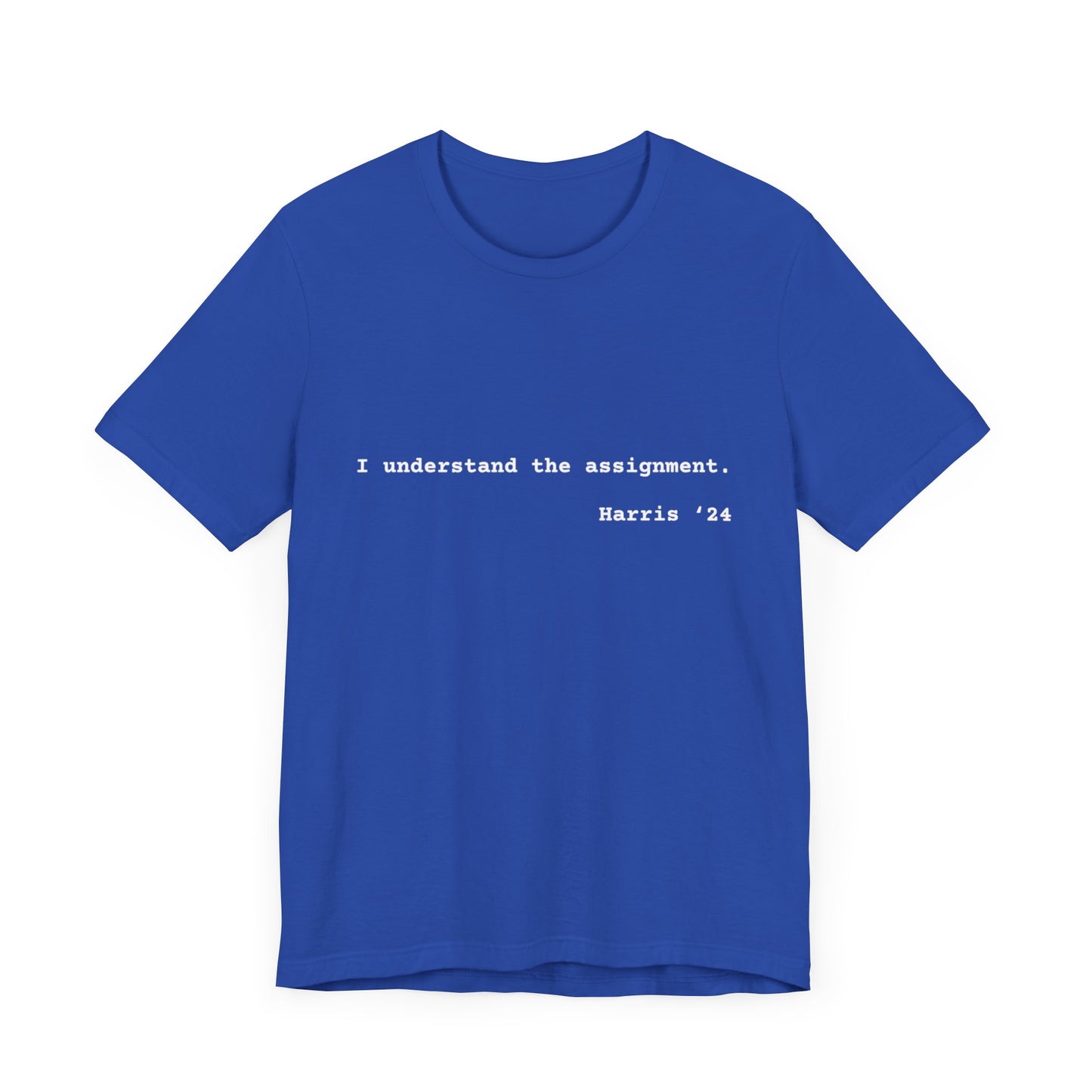 I Understand The Assignment Tee- White Font