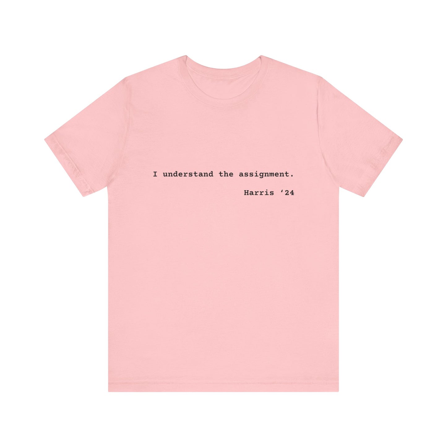 I Understand The Assignment Tee