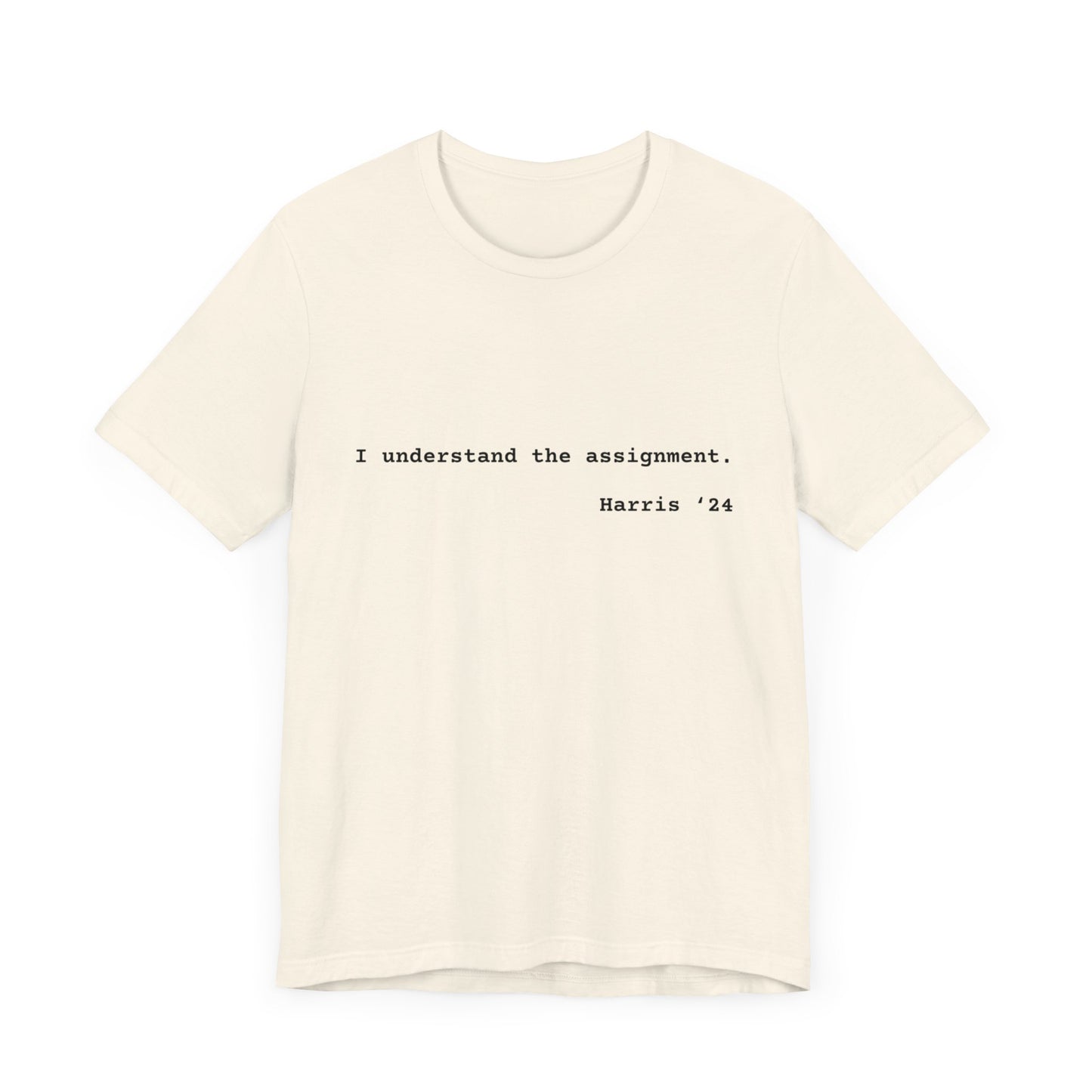 I Understand The Assignment Tee