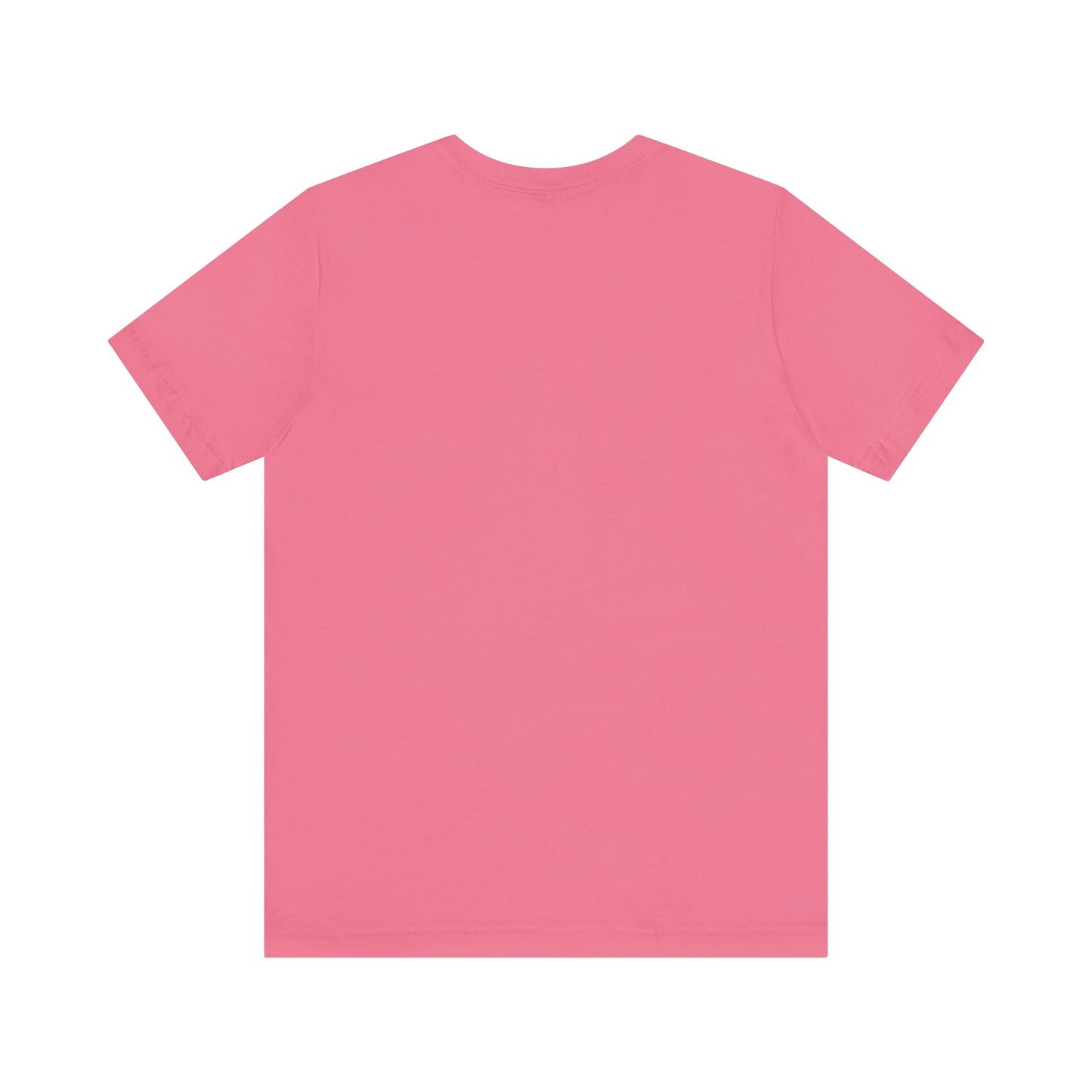 I Understand The Assignment Tee
