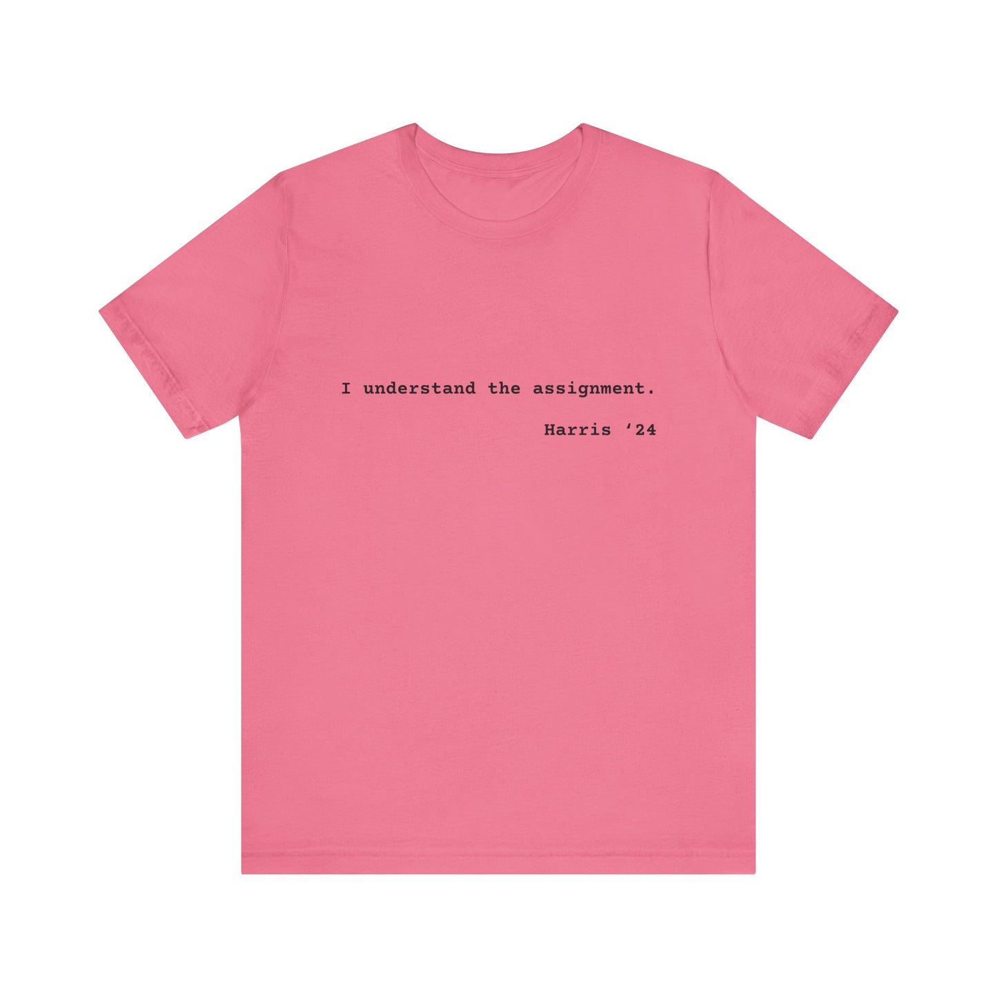 I Understand The Assignment Tee