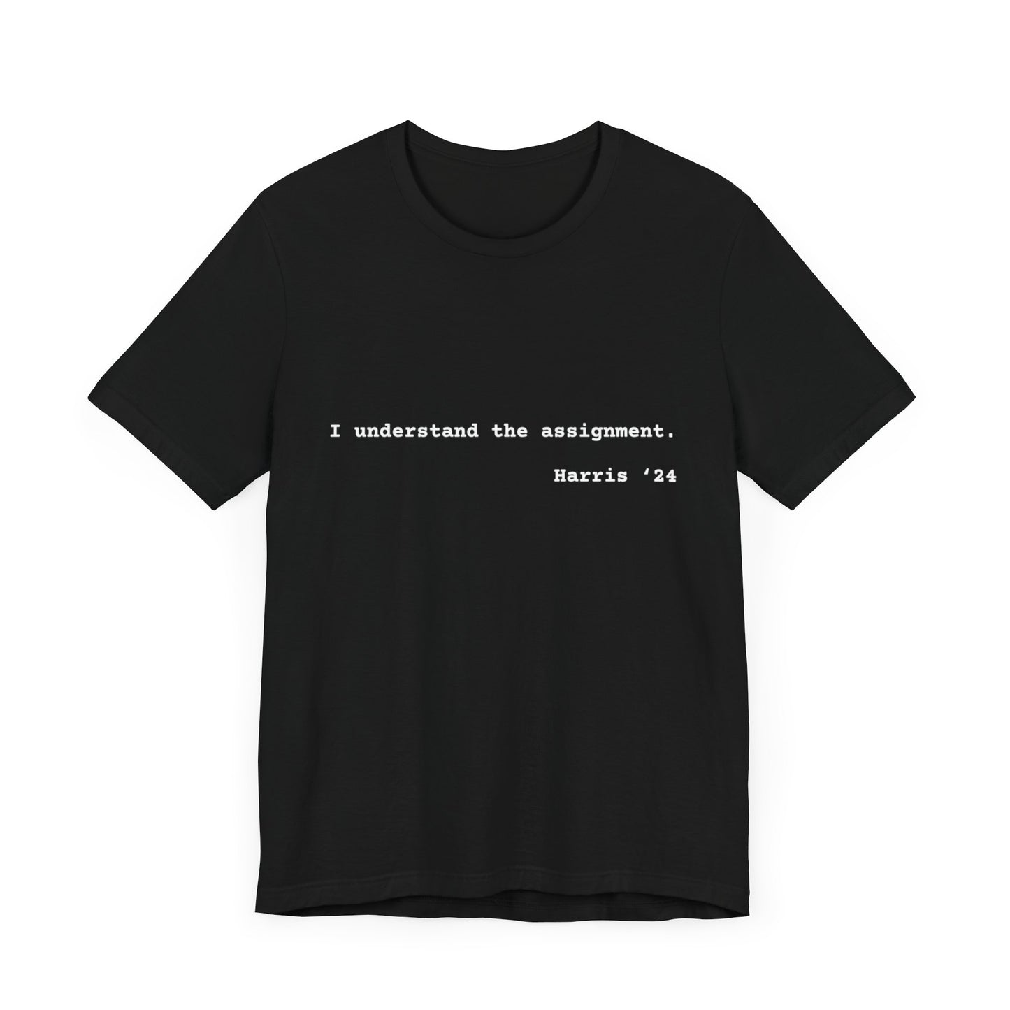 I Understand The Assignment Tee- White Font
