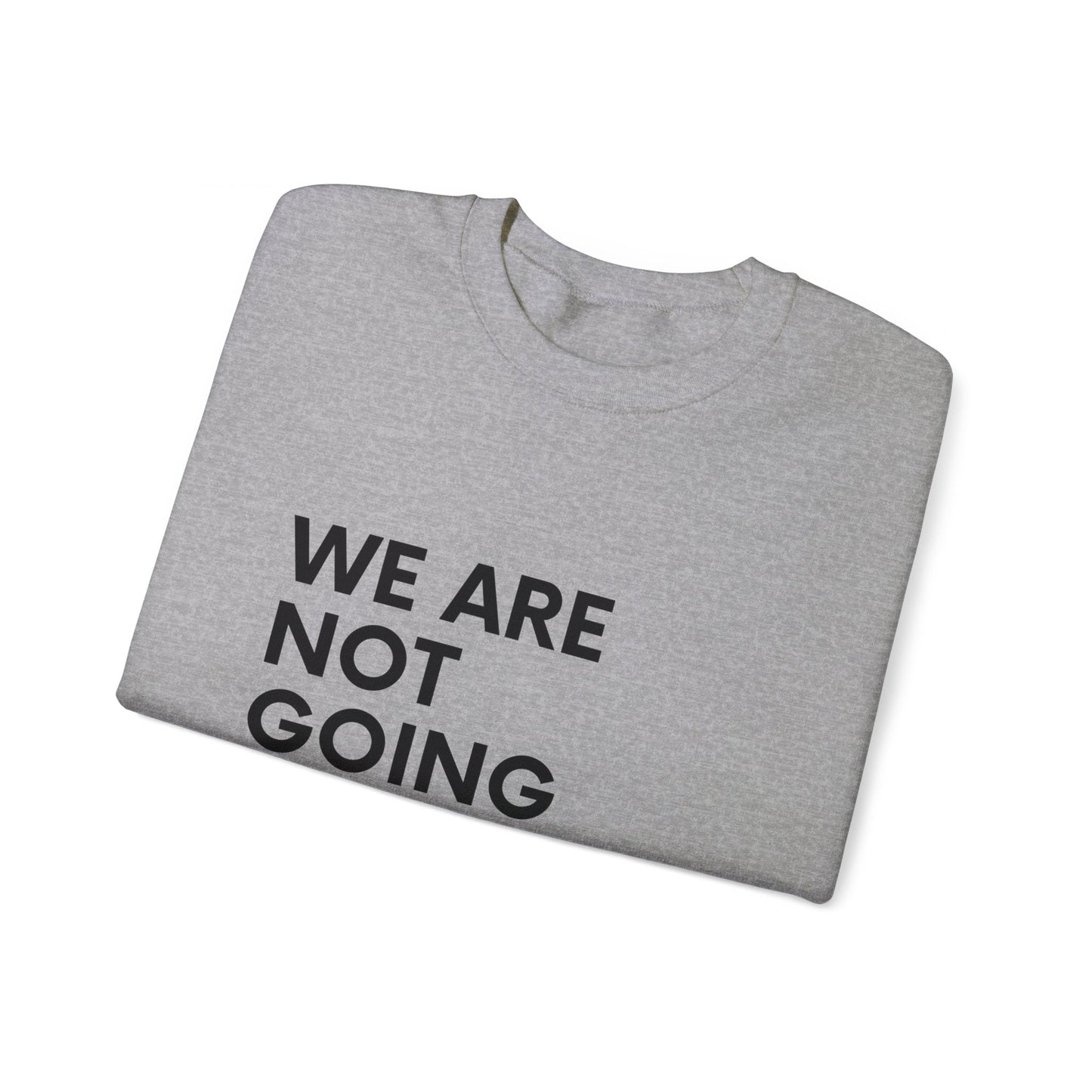 We Are Not Going Back Sweatshirt