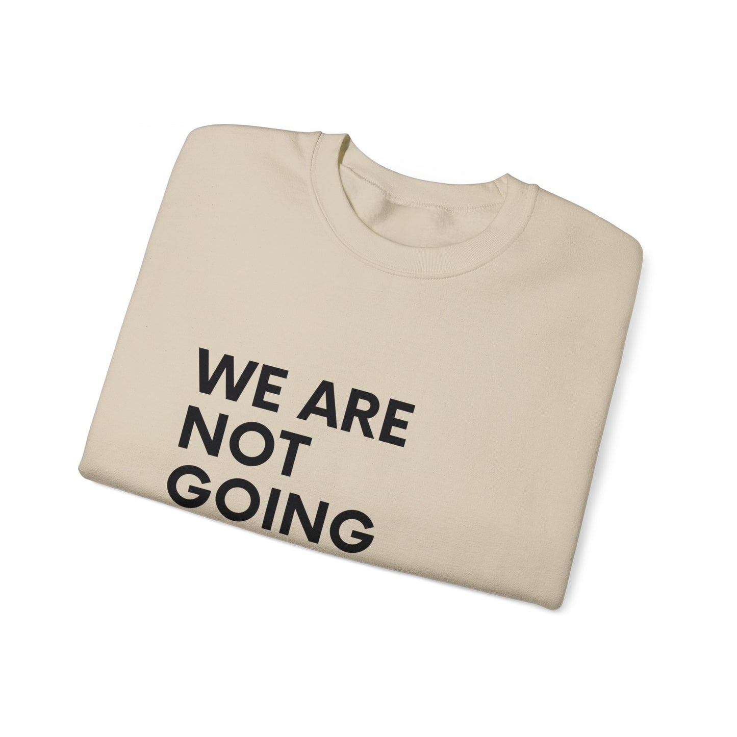 We Are Not Going Back Sweatshirt