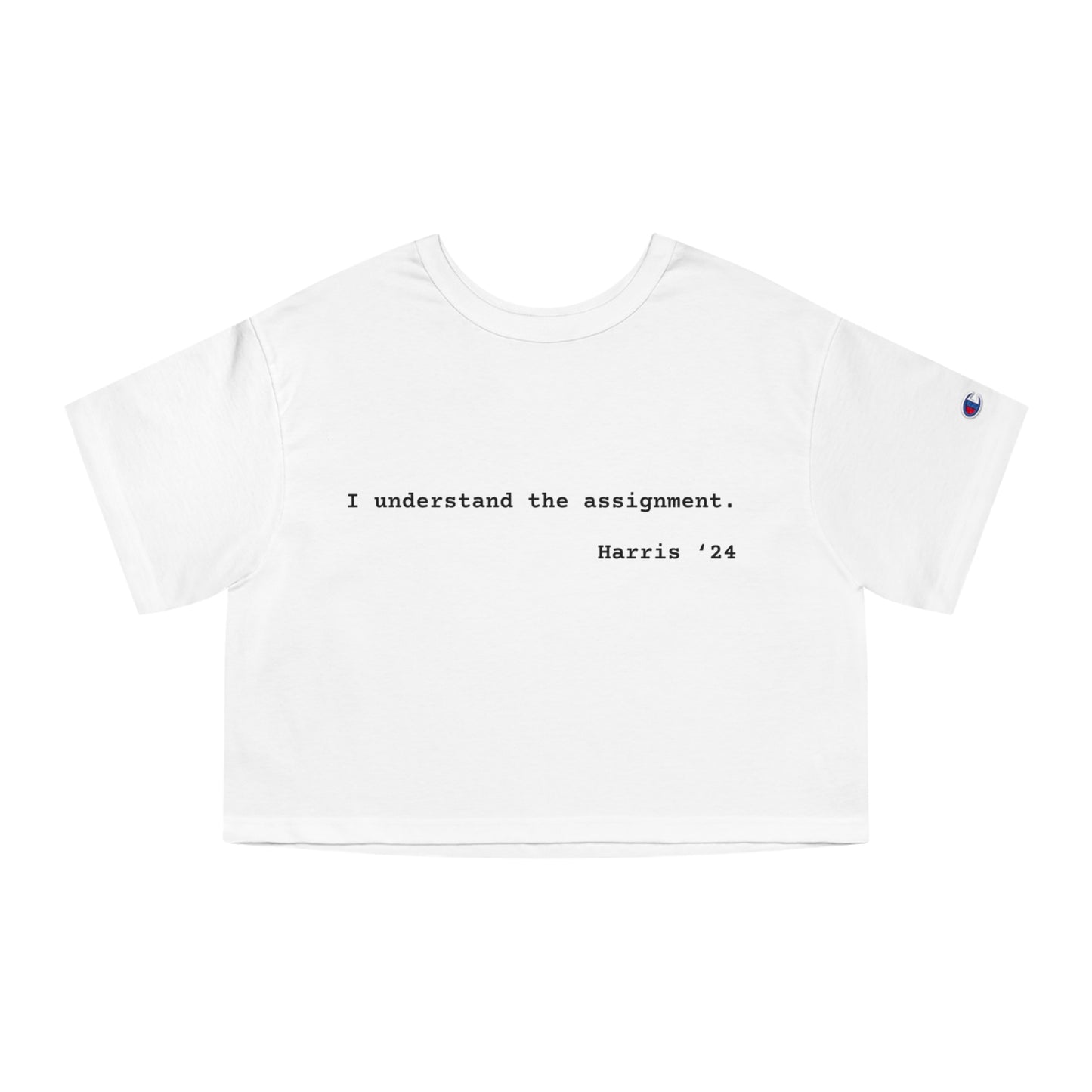 I Understand The Assignment Cropped T-Shirt