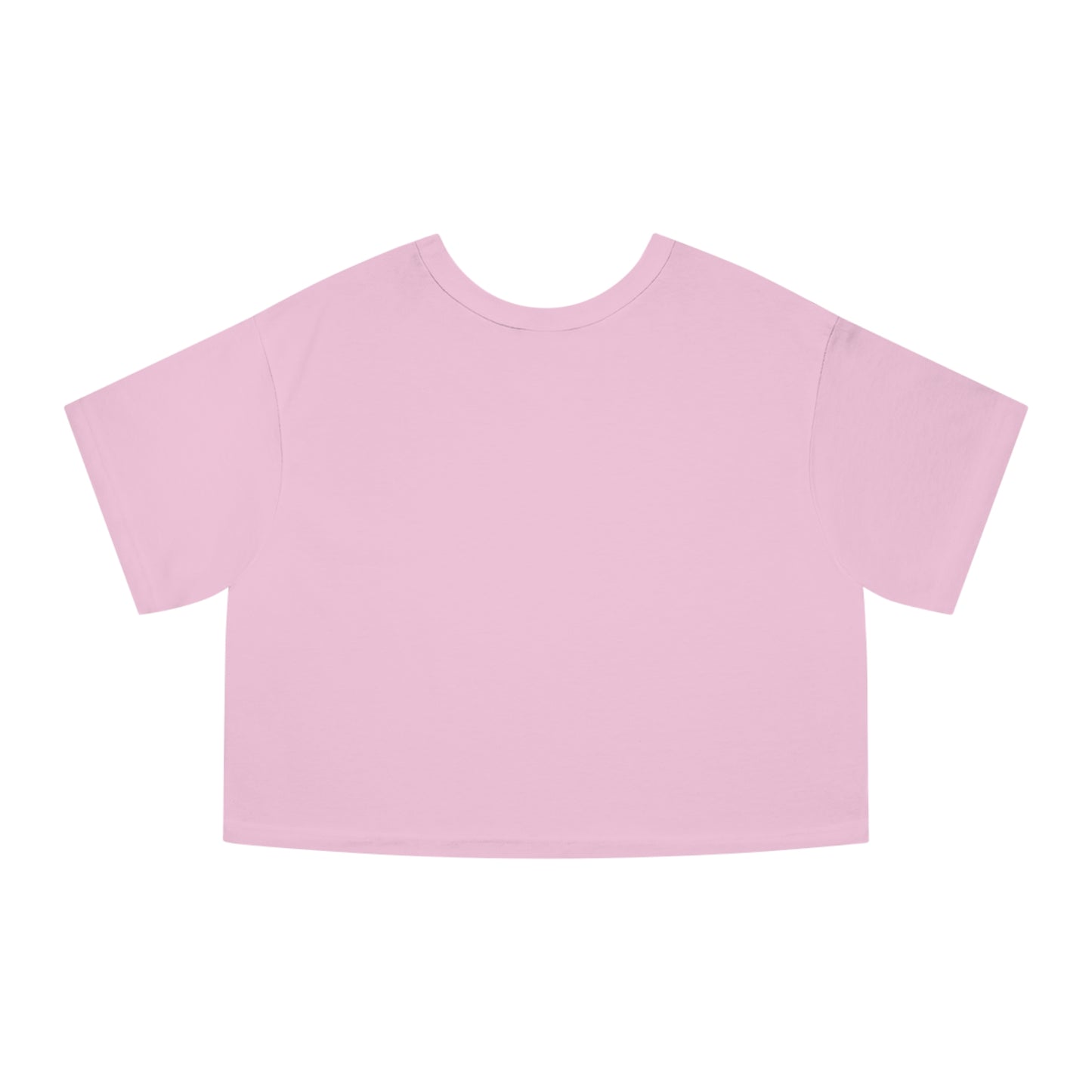 I Understand The Assignment Cropped T-Shirt