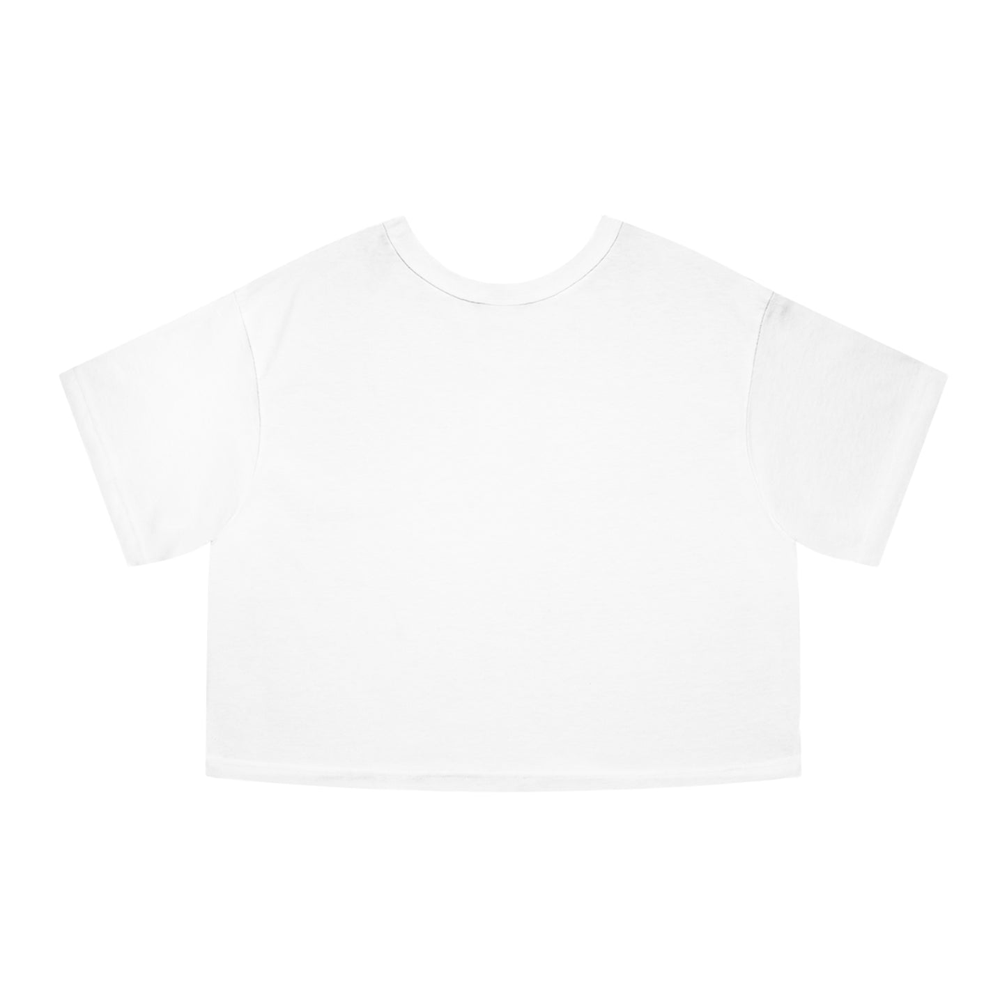 I Understand The Assignment Cropped T-Shirt