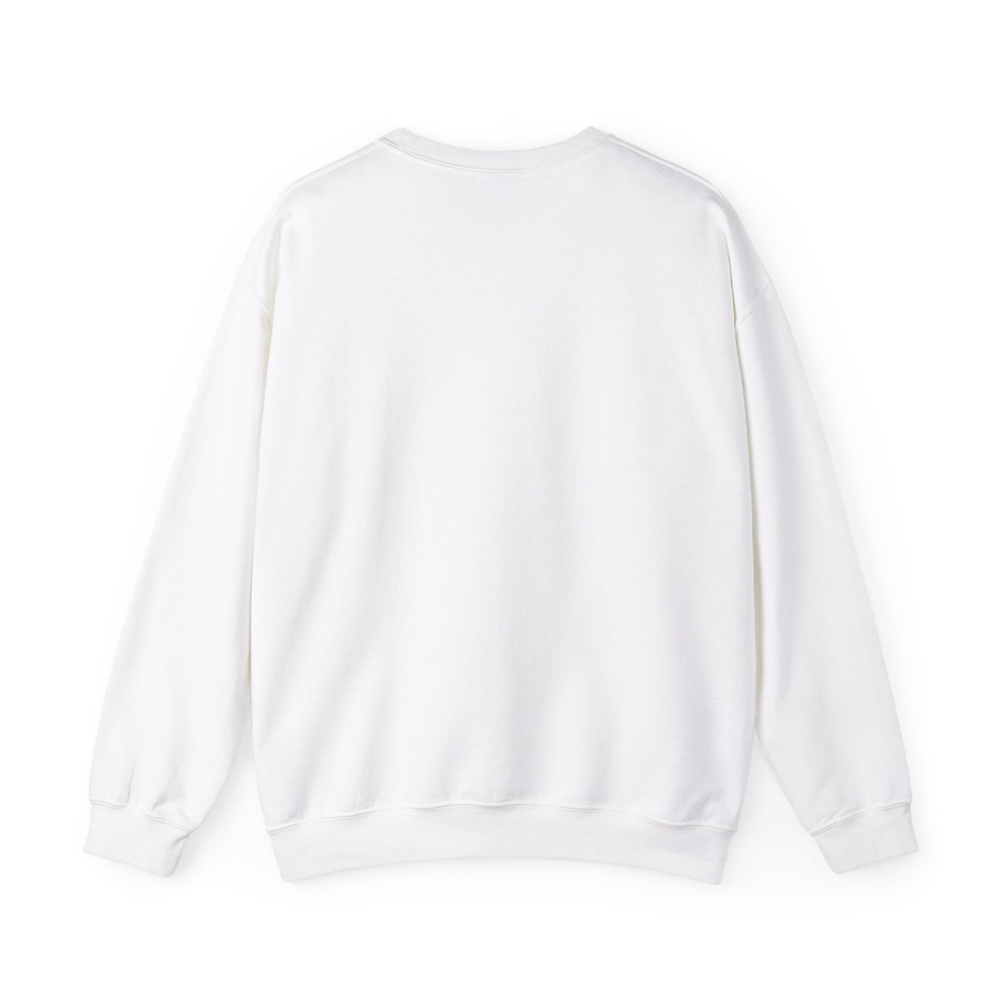 We Are Not Going Back Sweatshirt