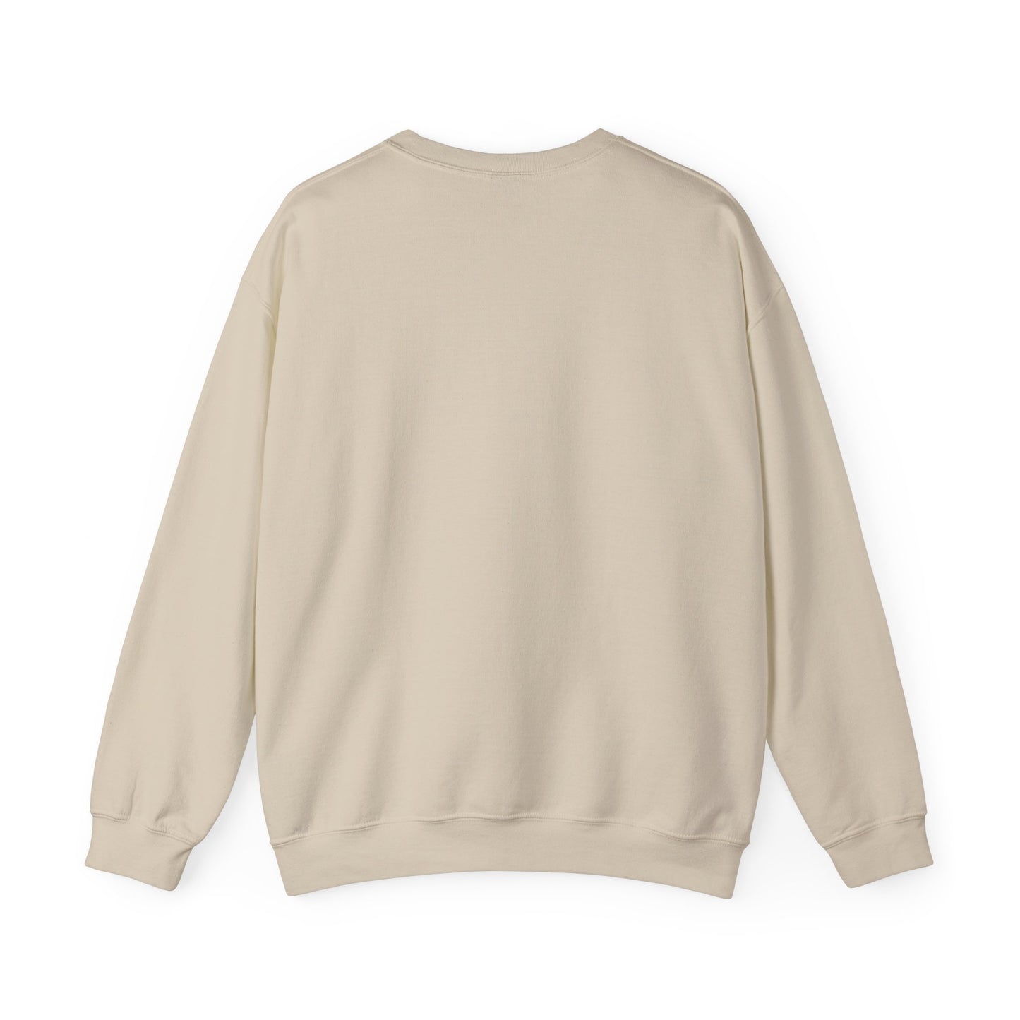 We Are Not Going Back Sweatshirt